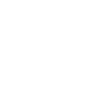 pause icon